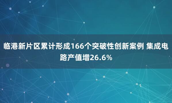 临港新片区累计形成166个突破性创新案例 集成电路产值增26.6%