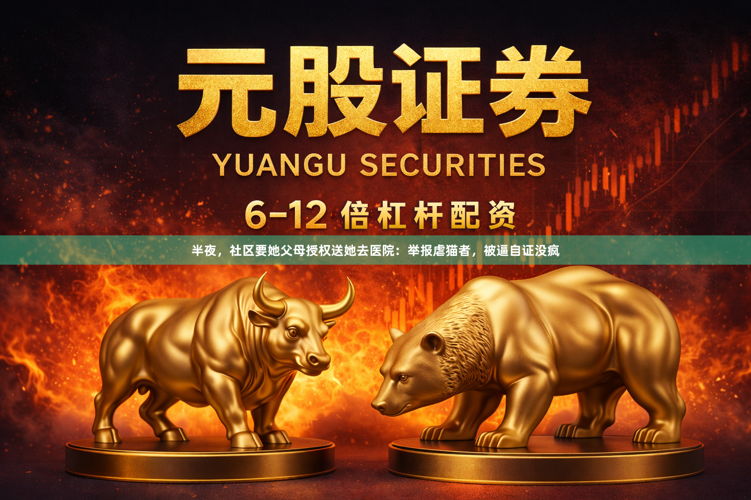 半夜，社区要她父母授权送她去医院：举报虐猫者，被逼自证没疯