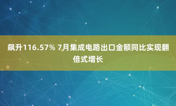飙升116.57% 7月集成电路出口金额同比实现翻倍式增长