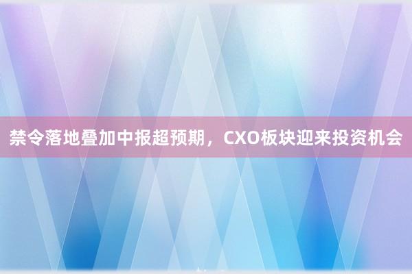 禁令落地叠加中报超预期，CXO板块迎来投资机会