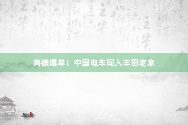 海獭爆单！中国电车闯入丰田老家