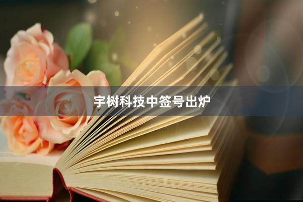 宇树科技中签号出炉