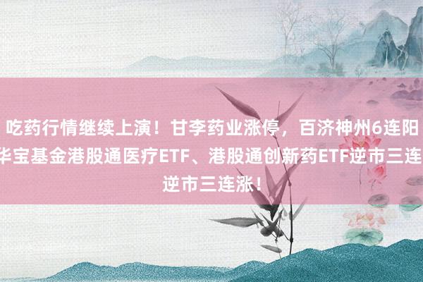 吃药行情继续上演！甘李药业涨停，百济神州6连阳！华宝基金港股通医疗ETF、港股通创新药ETF逆市三连涨！