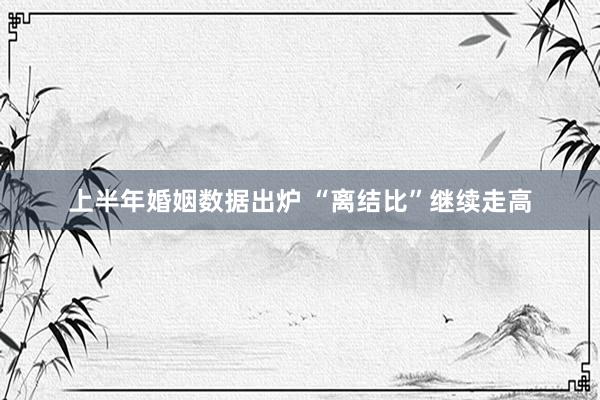 上半年婚姻数据出炉 “离结比”继续走高