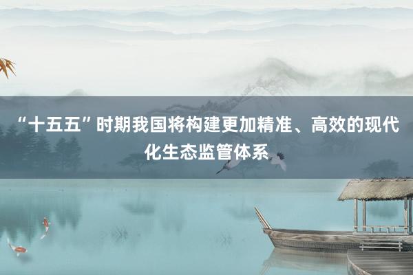 “十五五”时期我国将构建更加精准、高效的现代化生态监管体系