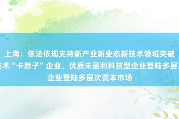 上海：依法依规支持新产业新业态新技术领域突破关键核心技术“卡脖子”企业、优质未盈利科技型企业登陆多层次资本市场