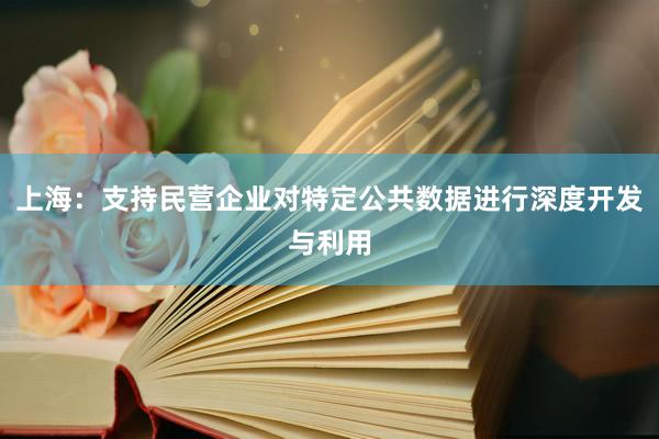 上海：支持民营企业对特定公共数据进行深度开发与利用