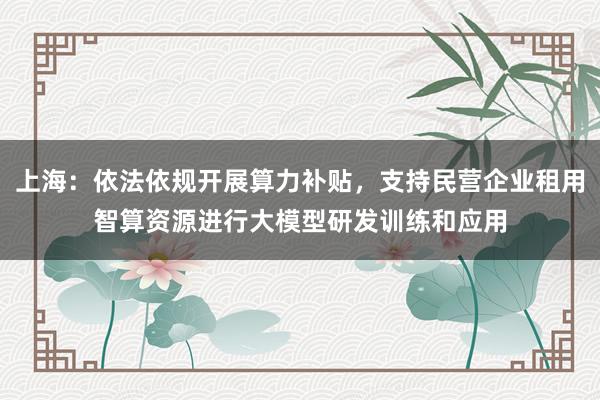 上海：依法依规开展算力补贴，支持民营企业租用智算资源进行大模型研发训练和应用