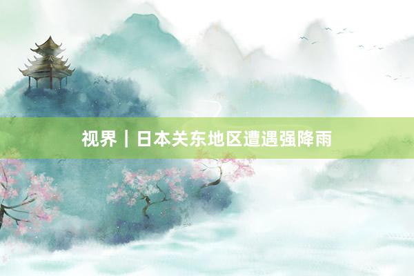 视界｜日本关东地区遭遇强降雨