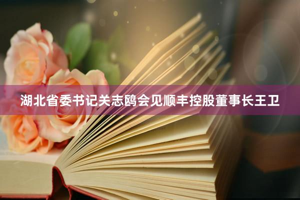 湖北省委书记关志鸥会见顺丰控股董事长王卫