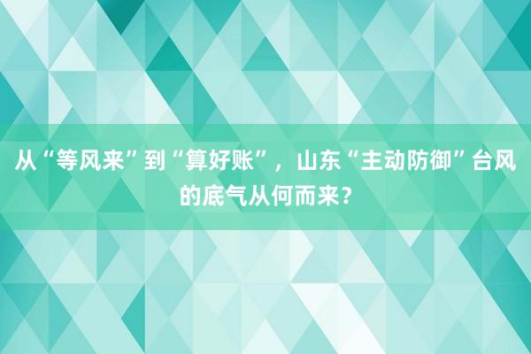 从“等风来”到“算好账”，山东“主动防御”台风的底气从何而来？