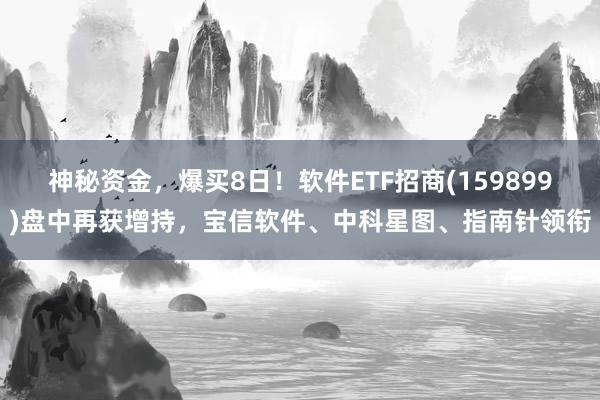 神秘资金，爆买8日！软件ETF招商(159899)盘中再获增持，宝信软件、中科星图、指南针领衔