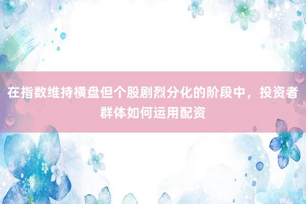 在指数维持横盘但个股剧烈分化的阶段中，投资者群体如何运用配资