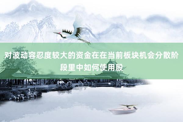 对波动容忍度较大的资金在在当前板块机会分散阶段里中如何使用股