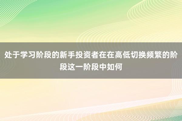 处于学习阶段的新手投资者在在高低切换频繁的阶段这一阶段中如何