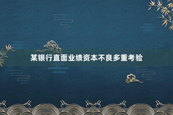 某银行直面业绩资本不良多重考验
