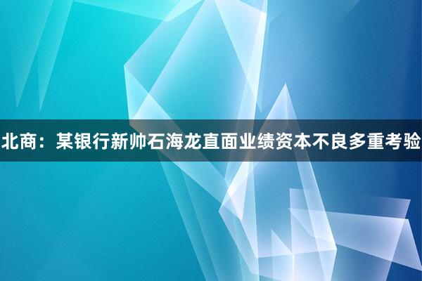 北商：某银行新帅石海龙直面业绩资本不良多重考验