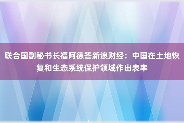 联合国副秘书长福阿德答新浪财经：中国在土地恢复和生态系统保护领域作出表率
