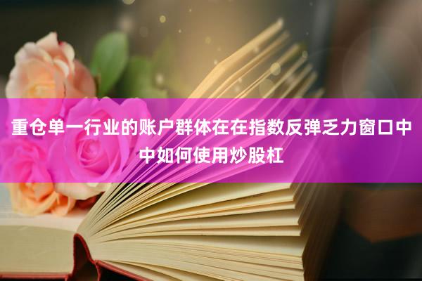 重仓单一行业的账户群体在在指数反弹乏力窗口中中如何使用炒股杠
