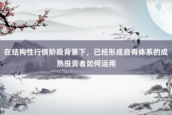 在结构性行情阶段背景下，已经形成自有体系的成熟投资者如何运用