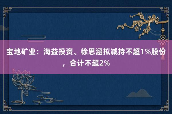 宝地矿业：海益投资、徐思涵拟减持不超1%股份，合计不超2%
